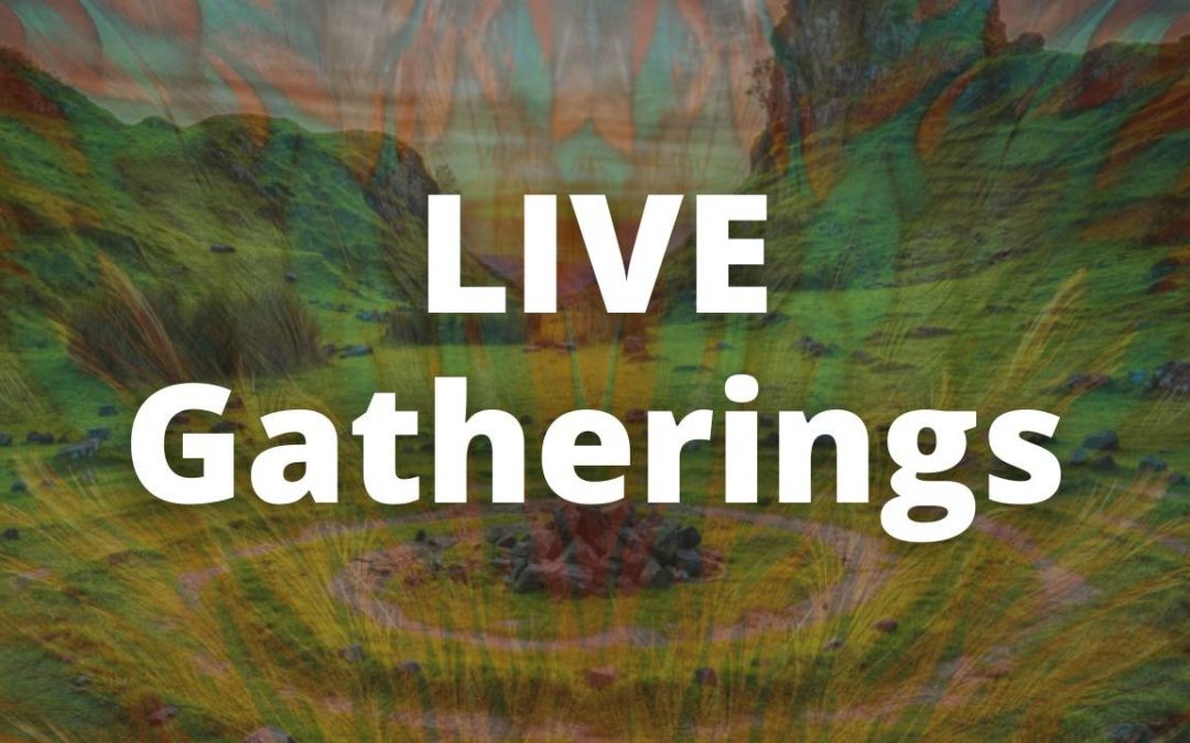 5 – Live Gatherings